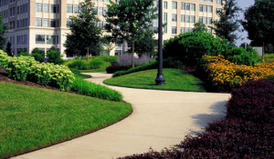 San Diego Commercial Landscaping